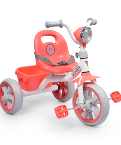 BABY TRIKE -ROYEL  DX TRIKE