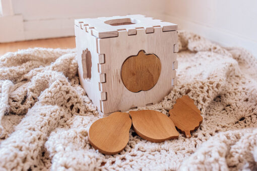 Fruit Box Puzzle