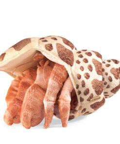 Hermit Crab Puppet