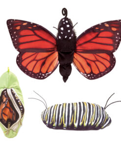 Monarch Life Cycle Puppet