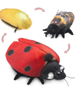 Ladybug Life Cycle Puppet