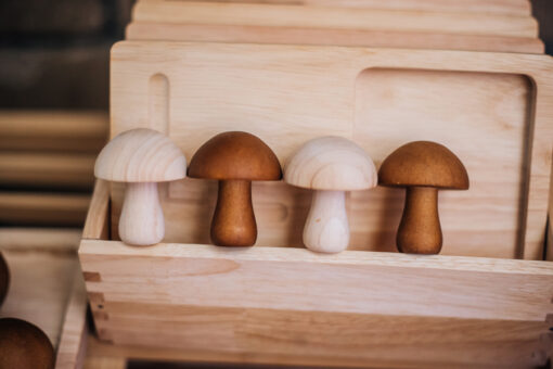 Mushroom set of 10