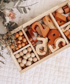 Montessori Sorting Trays set of 3