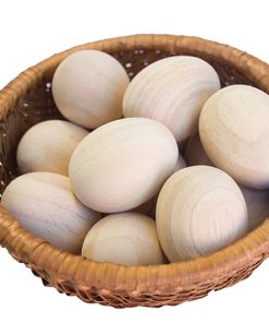 DIY Wooden Eggs set of 10